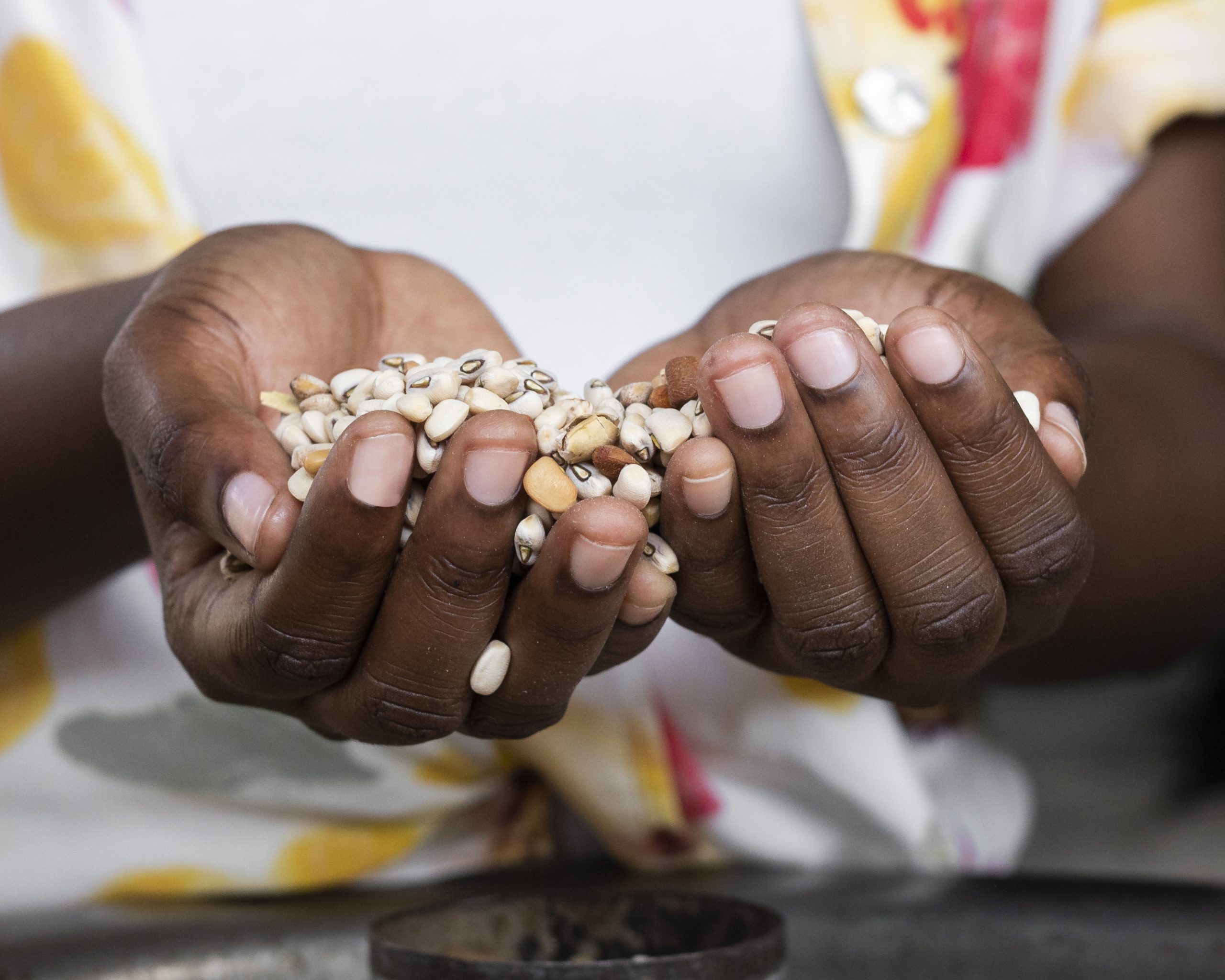close-up-hands-holding-beans (1)